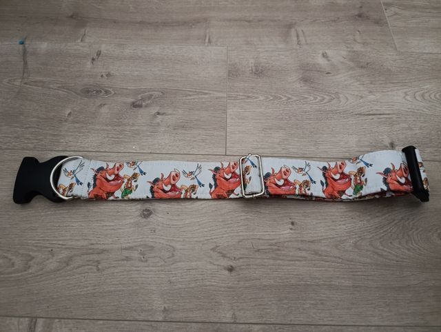 Guinzaglio e collare per cani. Il Re Leone