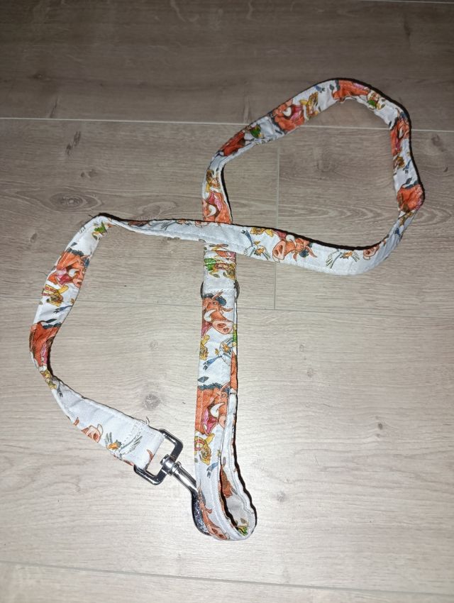 Guinzaglio e collare per cani. Il Re Leone