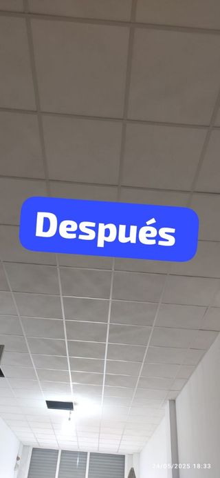 Pladurista, Escayolista