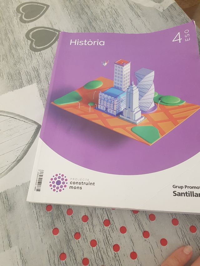 HISTORIA 4 SEC CONSTRUINT MONS