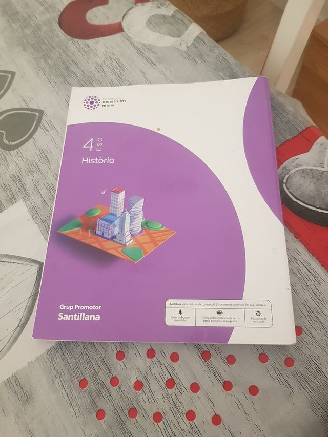 HISTORIA 4 SEC CONSTRUINT MONS