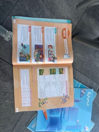 Lengua Castellana y Literatura