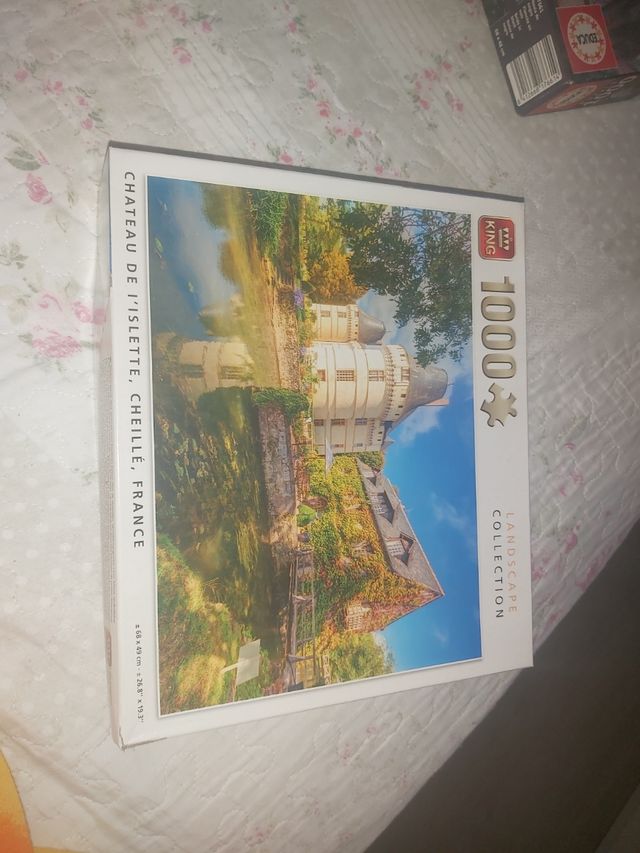 Puzzle 1000 piezas Castillo Francia
