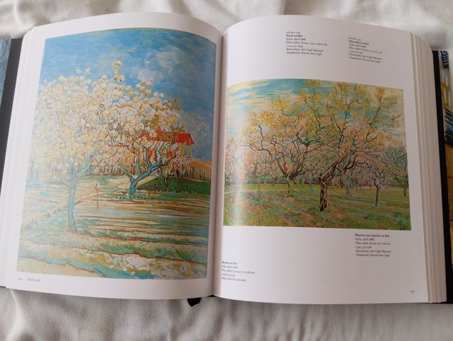 Van Gogh Obra pictórica completa Taschen