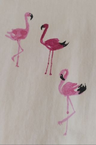 Camisa de verano