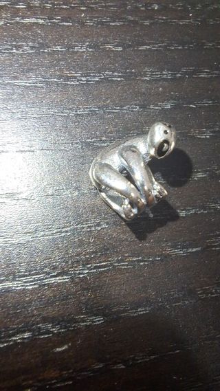 Charm koala plata