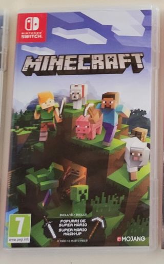 Minecraft Nintendo Switch