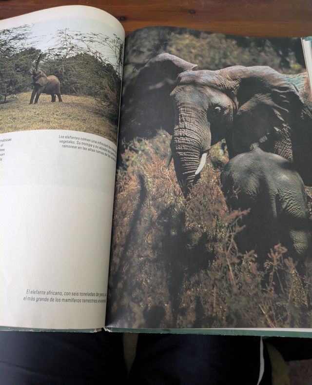 Los animales en su medio ambiente
