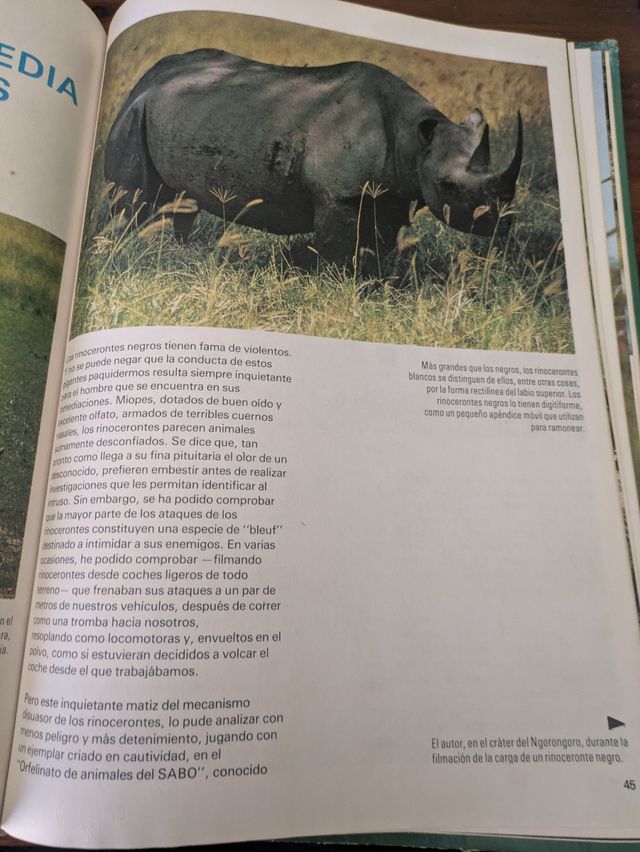 Los animales en su medio ambiente