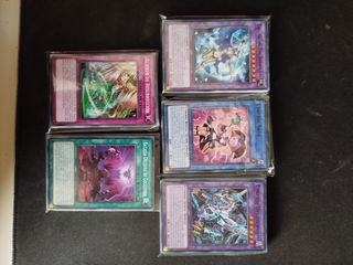 100 cartas Yu-Gi-Oh! protegidas