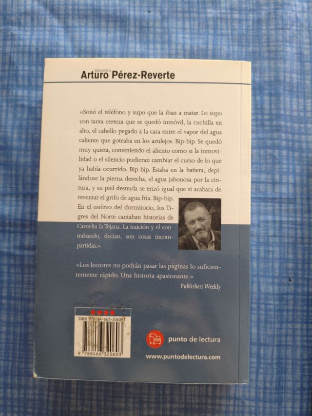 Libros de Pérez Reverte y Vargas Llosa.