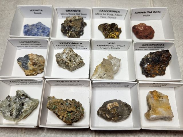 Lotto di 12 minerali in scatole da 4 x 4