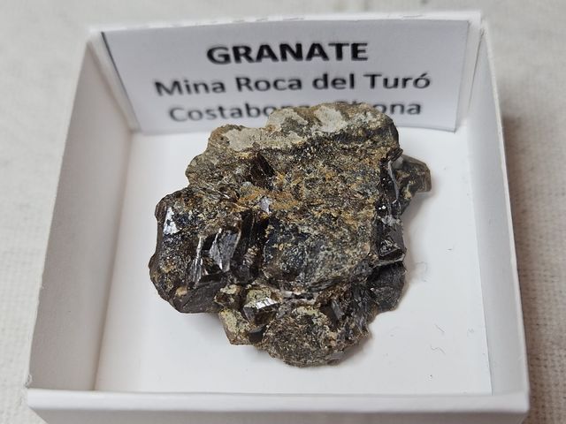 Lotto di 12 minerali in scatole da 4 x 4