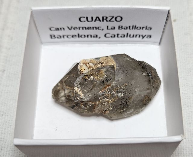 Lotto di 12 minerali in scatole da 4 x 4