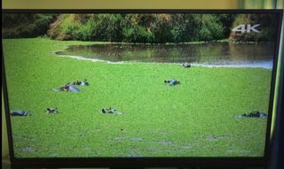 TV Philips 49PUS7503 Ambilight Android