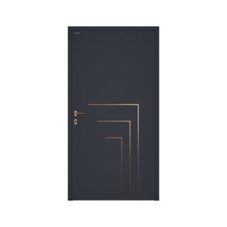 Puertas entrada - Alta calidad