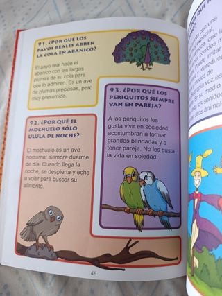 LOS MEJORES PORQUÉS