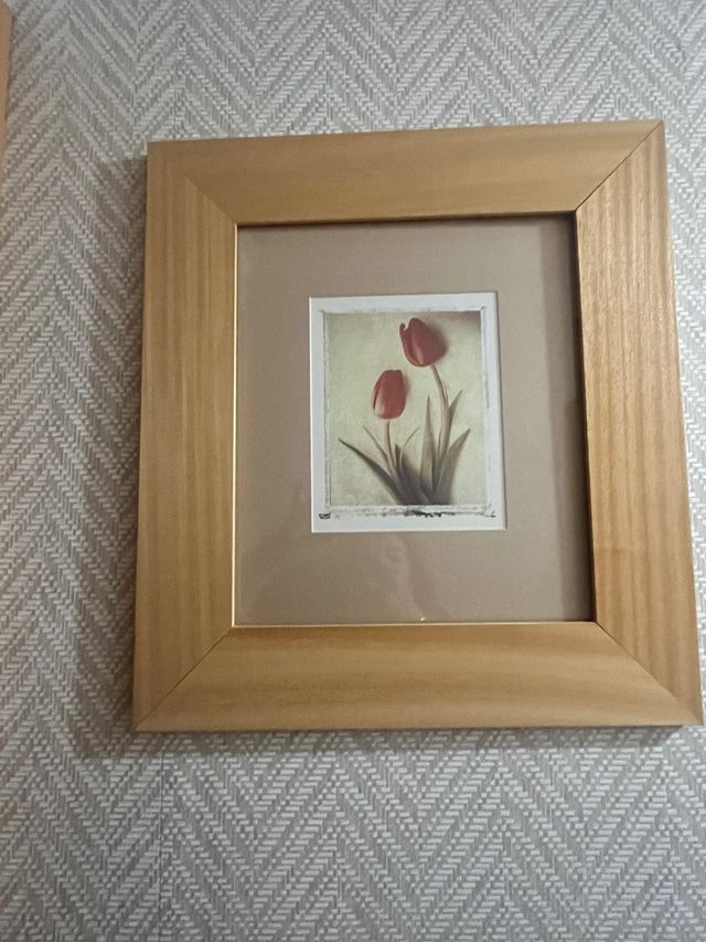 cuadros con marco   Flores Vintage