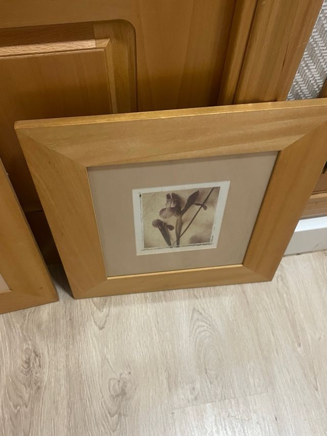 cuadros con marco   Flores Vintage