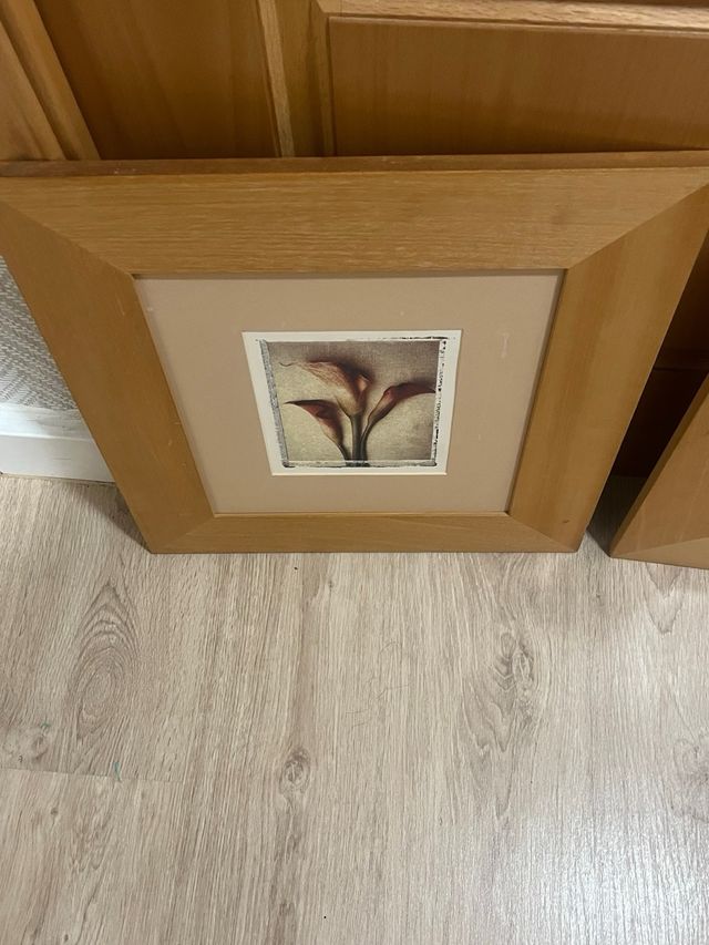 cuadros con marco   Flores Vintage