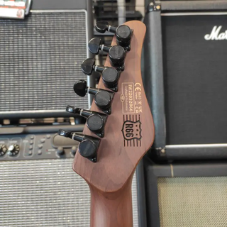 Chitarra SCHECTER Route66 Bad Boy