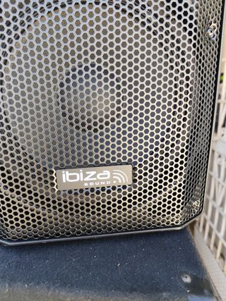 Altavoz 10".300w autoamplificado