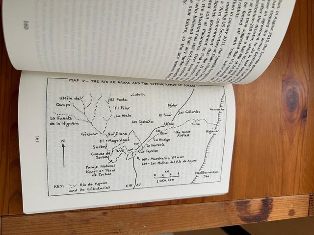 Flamingos in the Desert