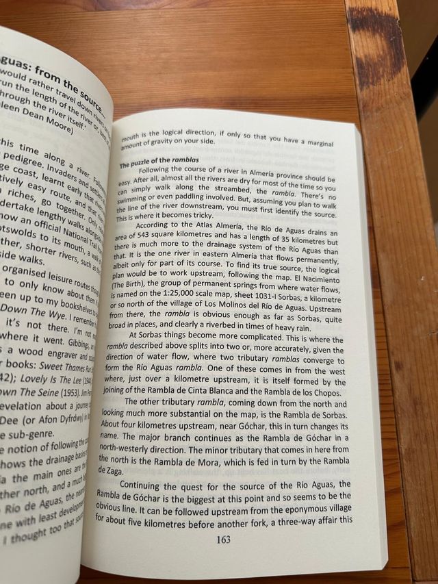 Flamingos in the Desert