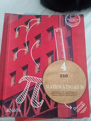 Matemáticas B 4