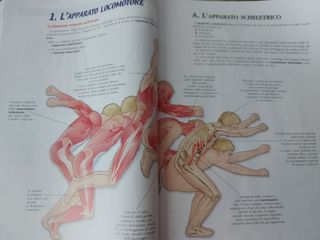 Sport E Vita. Corpo, Movimento, Sport. Per Le S...