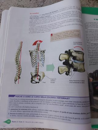 Sport E Vita. Corpo, Movimento, Sport. Per Le S...
