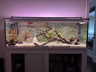 Acuario 450 L - Urna completa con soporte aluminio