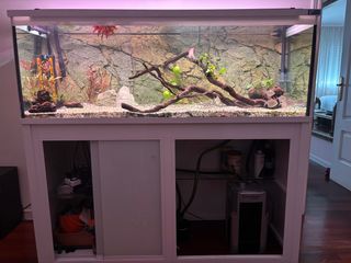 Acuario 450 L - Urna completa con soporte aluminio