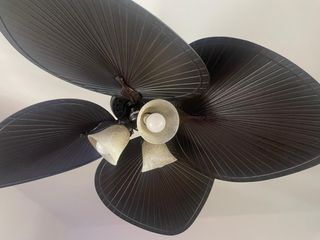 Ventilador techo 4 aspas grandes 