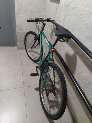 Bicicleta adulto 