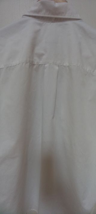 Camicia bianca uomo Manica Corta 