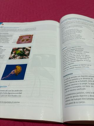 BIOLOGIA Y GEOLOGIA 1º BACHILLERATO