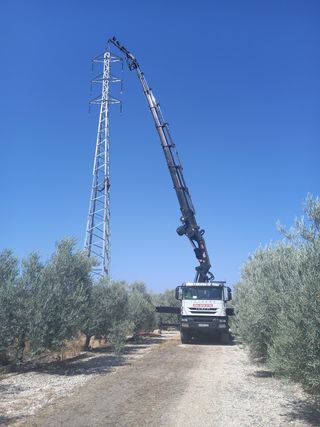 Camiom Grua IVECO Hiab 1055