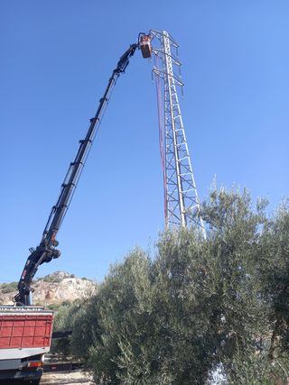 Camiom Grua IVECO Hiab 1055