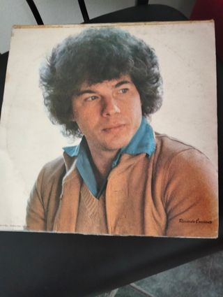 LP Riccardo Cocciante: 2 Vinili