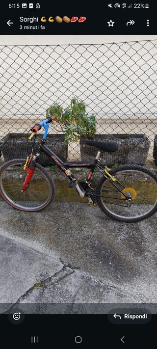 Bicicletta MTB 24''