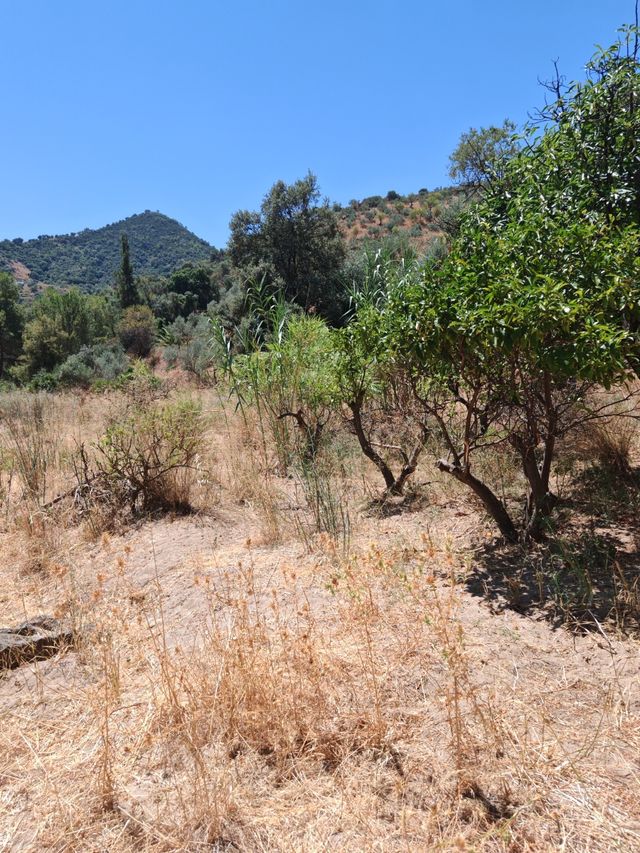 Finca rústica Monda - 42.300 
m² con agua propia
