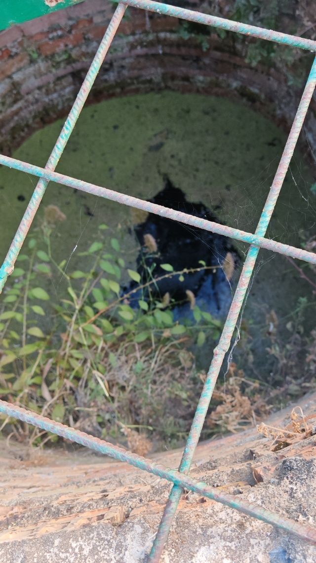 Finca rústica Monda - 42.300 
m² con agua propia
