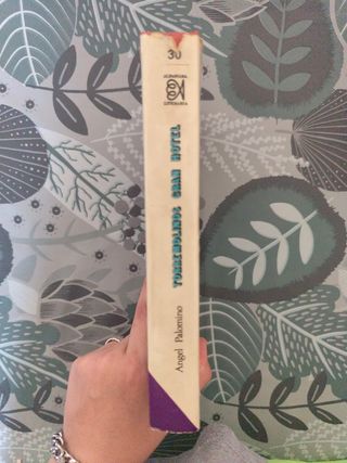 LIBRO: "Torremolinos Gran Hotel".