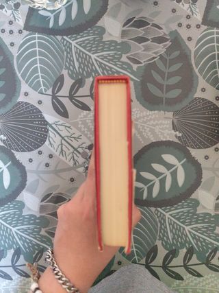 LIBRO: "Torremolinos Gran Hotel".