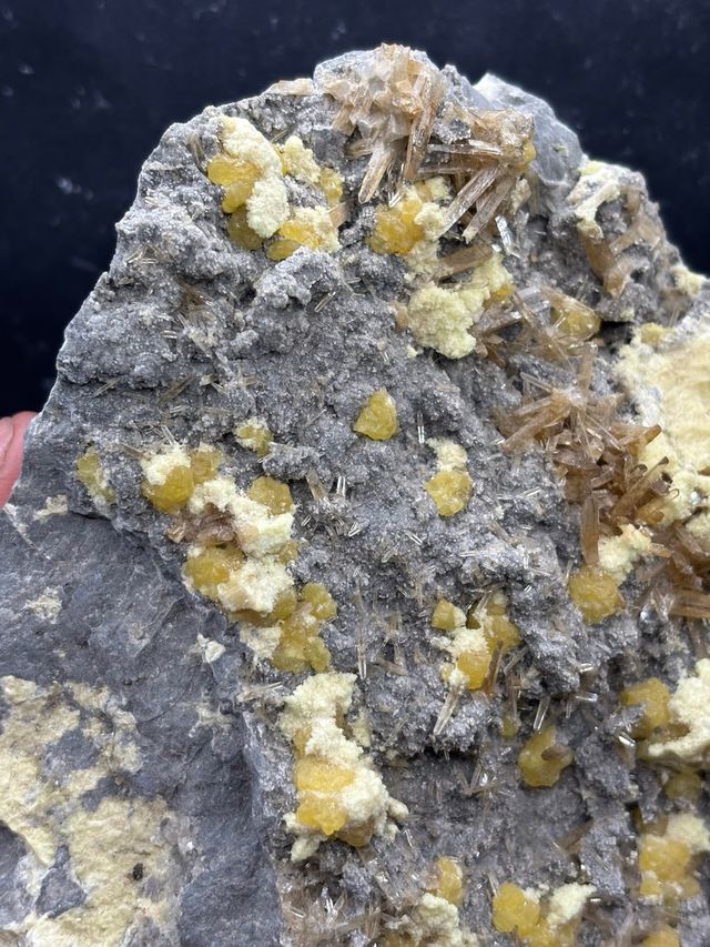 Minerali Celestina su Zolfo - Polonia