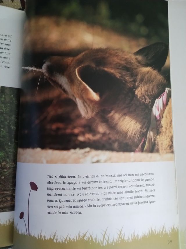 La Volpe E La Bambina. La Storia Con Le Immagin...