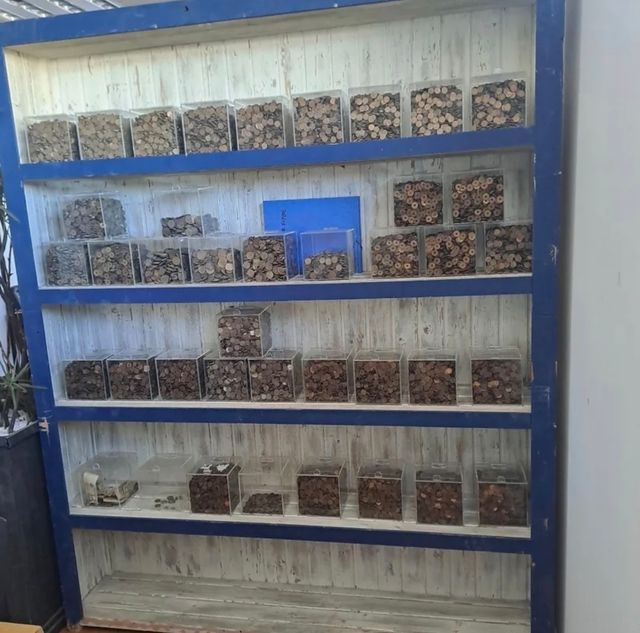 Monedas España colección