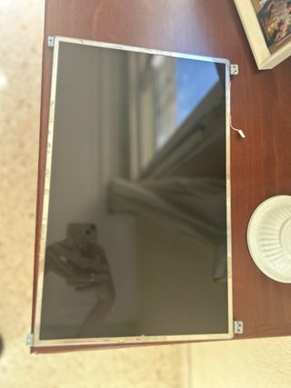 Pantalla 16 Philips LP171WP4 
