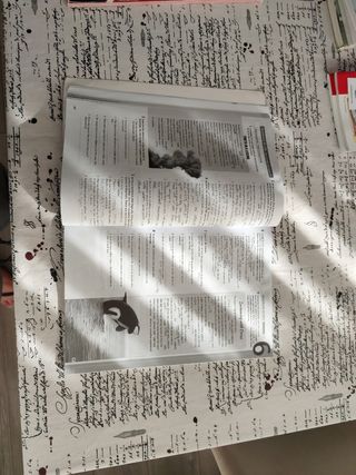 Mindset 1º Bachillerato Students Book Cataluña